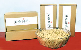 河北益彰食品釀造 傳承古法釀藝，深耕健康餐桌的崛起之路